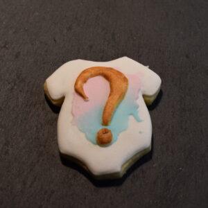 Gender reveal jongen/meisje